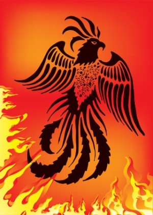 Phoenix rising from the flames