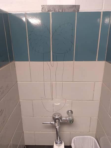 Graphiti in a Public Restroom