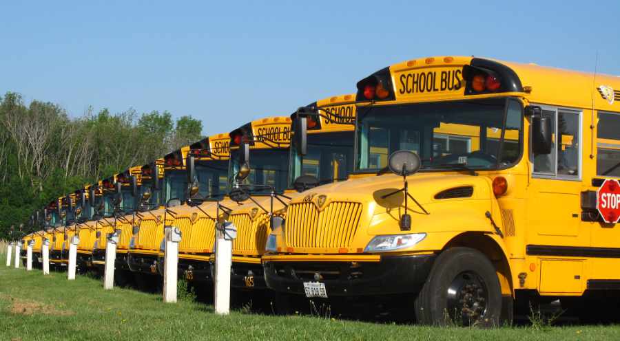 Thirteen School Buses