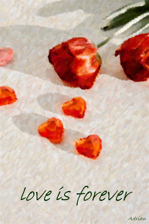 Roses on coloured background