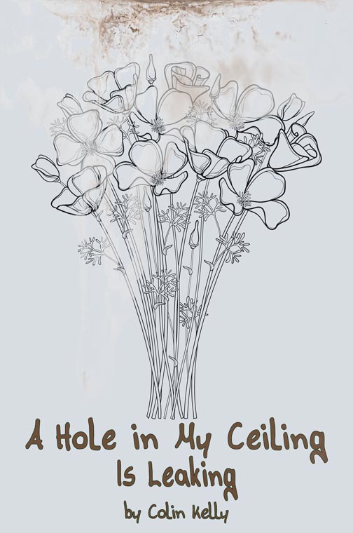 A Hole in My Ceiling Is Leaking by Colin Kelly