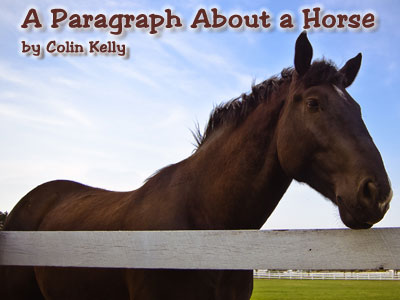 A Paragraph About a Horse -- a flash fiction story by Colin Kelly