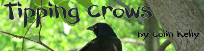 Tipping Crows story link