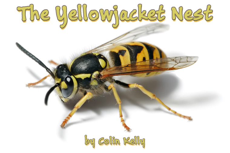 The Yellowjacket Nest by Colin Kelly