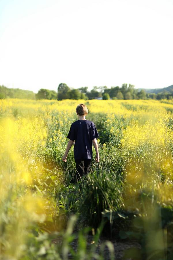 Boy walking through a field