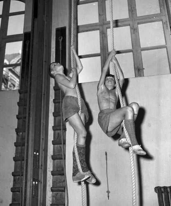 Two boys climbing ropes in a gym