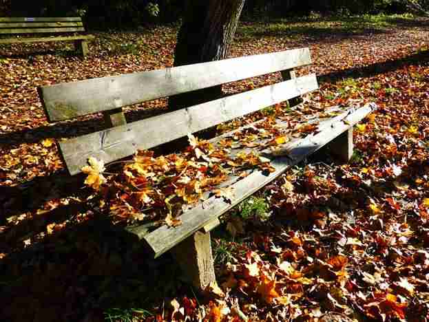 park-bench Image