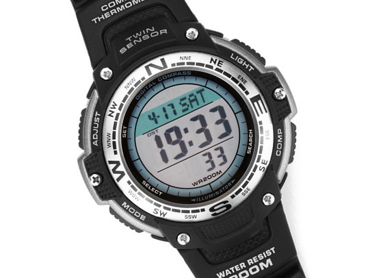 Wristwatch showing day, date and time