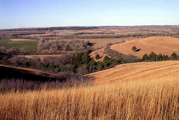 A tallgrass prairie in the Flint Hills, northeastern Kansas