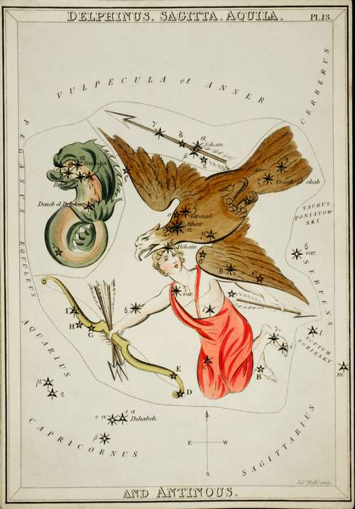 Sidney Hall’s (1831) astronomical chart illustration of Delphinus, Sagitta, Aquila, and Antinous