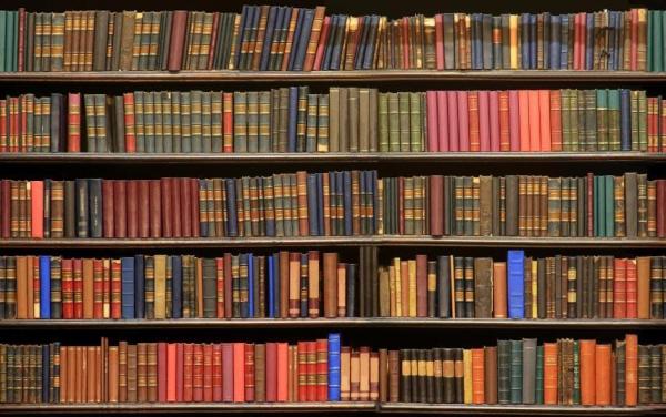 A wall of full bookshelves