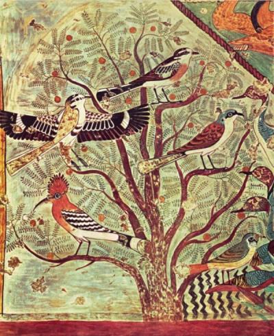 Egyptian tomb painting of wild birds in a mimosa bush