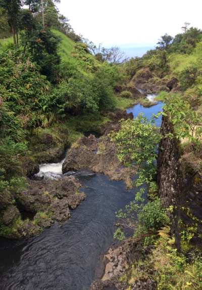 A small Hawai'ian stream