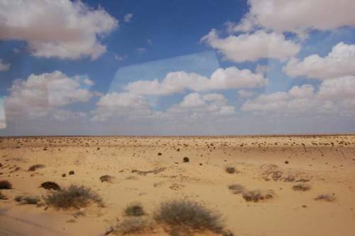 A barren desert landscape