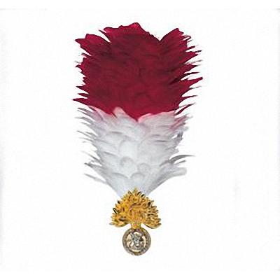 A red and white fusiliers plume