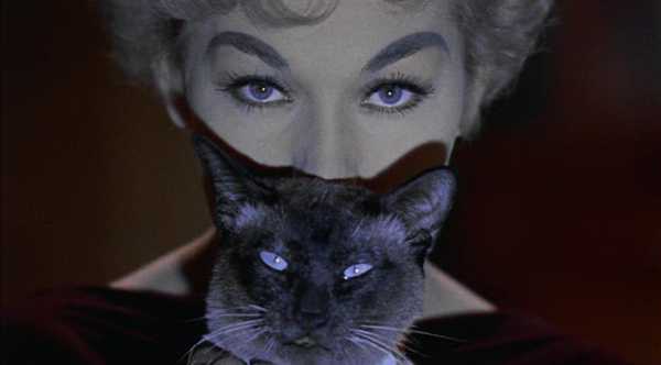 Houdini and Kim Novak in their roles as Pyewacket and Gillian in the 1958 movie, Bell, Book and Candle