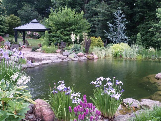 The Garden Palace Pool