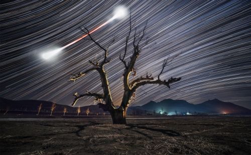 Long exposure of night sky, showing star trails