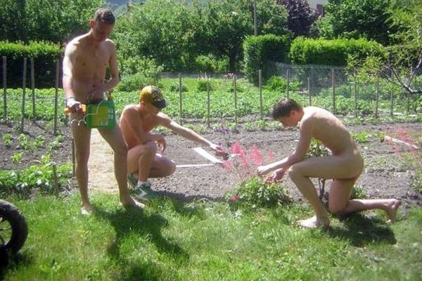 Three young men working in garden