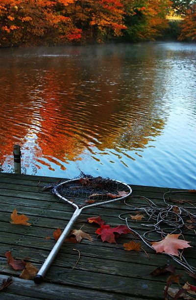 Fishing net on a dock, with a lake in the background