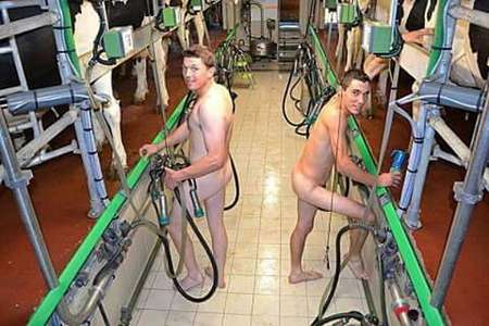 Two nude men in a milking shed