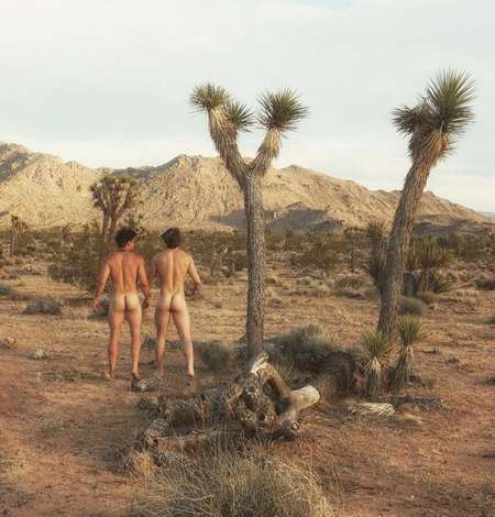 Two nude men from behind, standing near a joshua tree