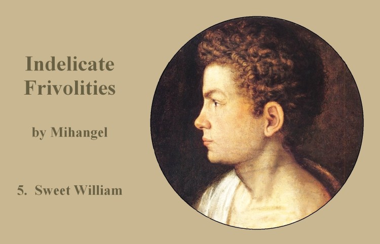 Indelicate Frivolities by Mihangel 5. Sweet William