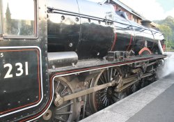 The Sherwood Forester, side