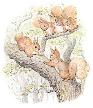A group of squirrels in a tree