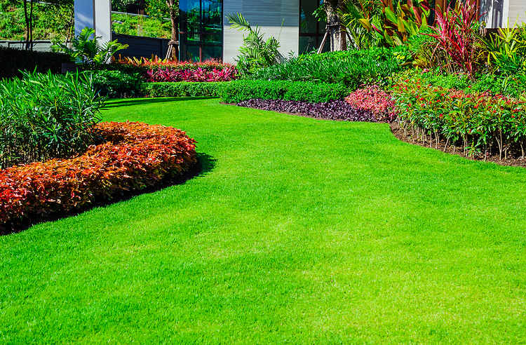 Garden beds and green lawn