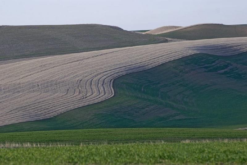 Palouse scene